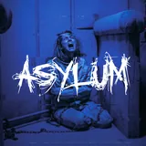 Asylum room artwork